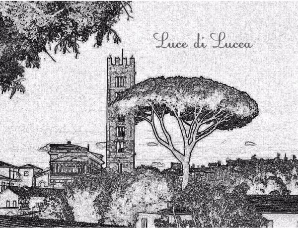 Luce di Lucca