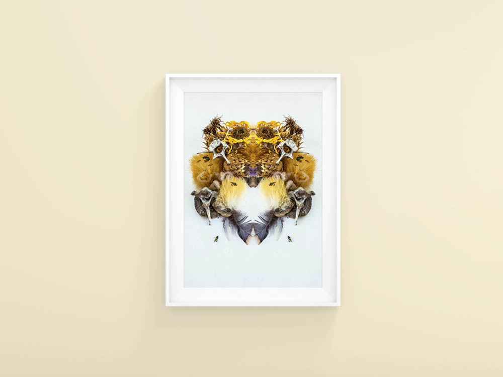 Dutton Field picture