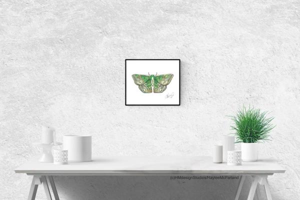 Blistered Emerald Moth Print, Watercolor and Pen and Ink, by Haylee McFarland picture