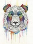 Rainbow Panda, LIMITED EDITION PRINT, Watercolor and Pen and Ink, by Haylee McFarland