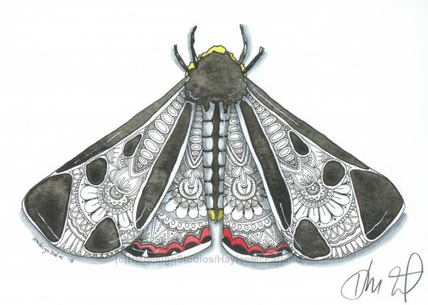 Moth Print, Watercolor and Pen and Ink, by Haylee McFarland