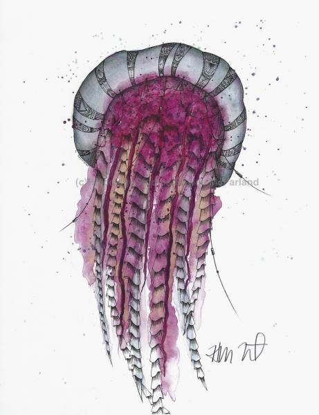 Raspberry Jellyfish Print, Watercolor and Pen and Ink, by Haylee McFarland