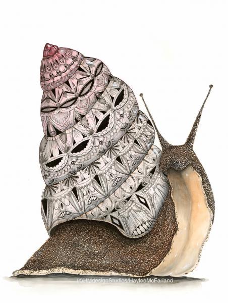 Pink Snail, LIMITED EDITION PRINT, Watercolor and Pen and Ink, by Haylee McFarland