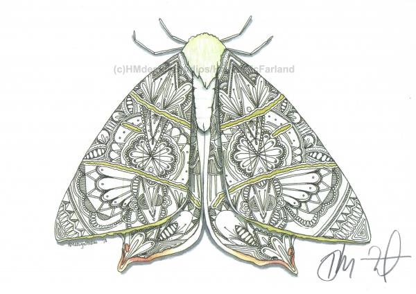 Swallow-Tailed Moth Print, Watercolor and Pen and Ink, by Haylee McFarland