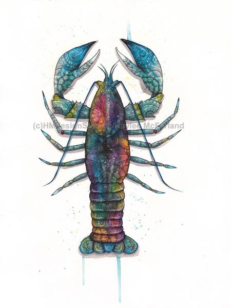 Cosmic Lobster, LIMITED EDITION PRINT, Watercolor and Pen and Ink, by Haylee McFarland picture