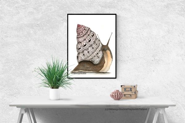 Pink Snail, LIMITED EDITION PRINT, Watercolor and Pen and Ink, by Haylee McFarland picture