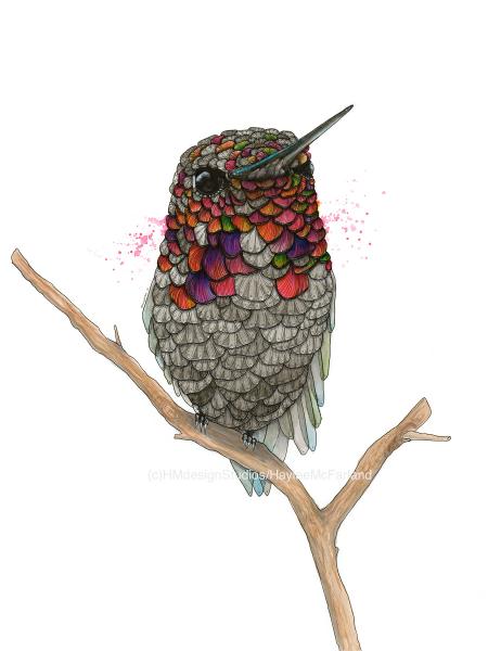Baby Hummingbird, LIMITED EDITION PRINT, Watercolor and Pen and Ink, by Haylee McFarland