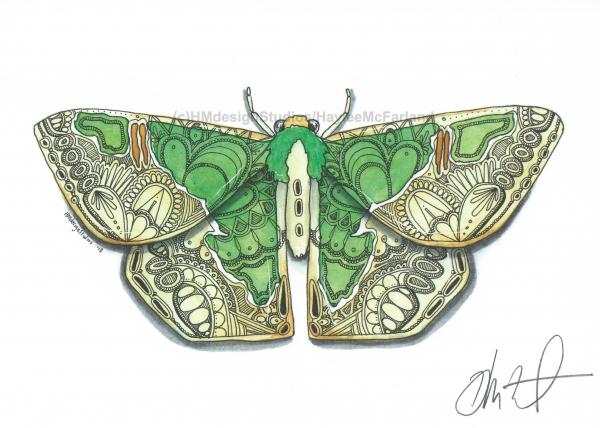 Blistered Emerald Moth Print, Watercolor and Pen and Ink, by Haylee McFarland