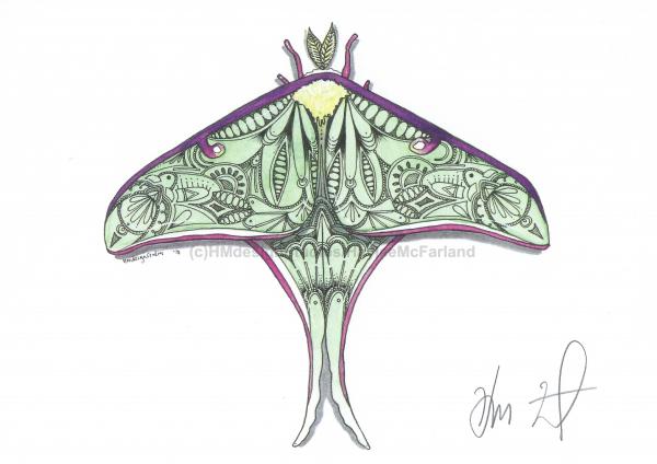 Luna Moth Print, Watercolor and Pen and Ink, by Haylee McFarland