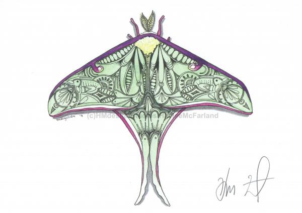 Luna Moth Print, Watercolor and Pen and Ink, by Haylee McFarland picture