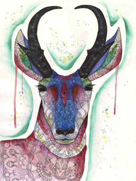 Pronghorn, LIMITED EDITION PRINT, Watercolor and Pen and Ink, by Haylee McFarland