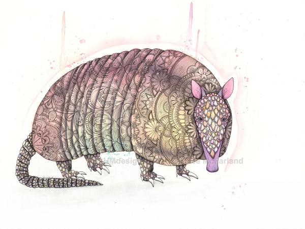 Peachy Armadillo, LIMITED EDITION PRINT, Watercolor and Pen and Ink, by Haylee McFarland