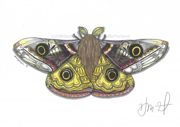 Moth Print, Watercolor and Pen and Ink, by Haylee McFarland picture