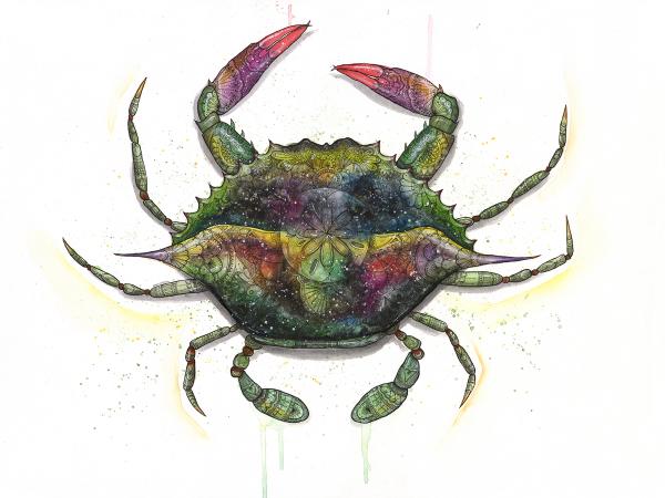 Cosmic Crab Print, Watercolor and Pen and Ink, by Haylee McFarland