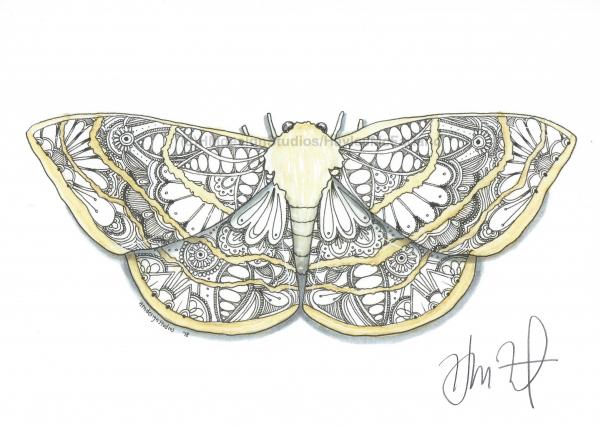 Moth Print, Watercolor and Pen and Ink, by Haylee McFarland