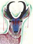 Cosmic Pronghorn Print, Watercolor and Pen and Ink, by Haylee McFarland