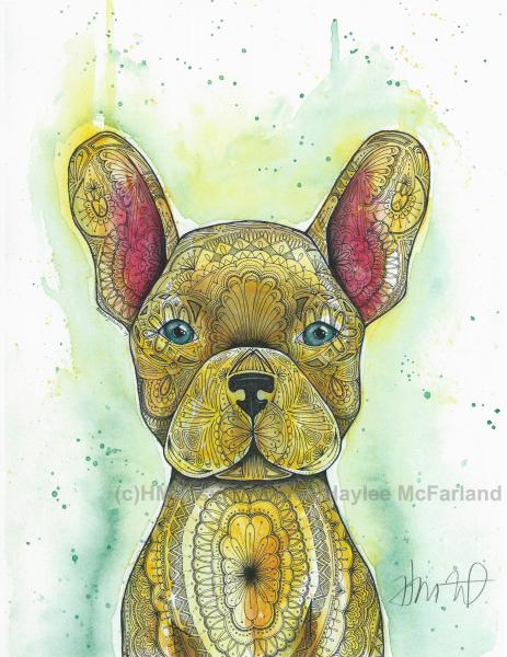 Yellow Frenchie Print, Watercolor and Pen and Ink, by Haylee McFarland picture