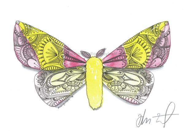 Moth Print, Watercolor and Pen and Ink, by Haylee McFarland