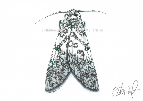 Giant Leopard Moth Print, Watercolor and Pen and Ink, by Haylee McFarland