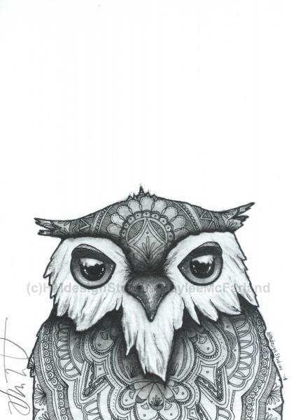 Adorable Owl Print, Watercolor and Pen and Ink, by Haylee McFarland