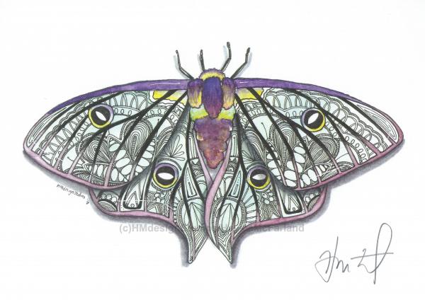 Moth Print, Watercolor and Pen and Ink, by Haylee McFarland picture