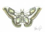 Moth Print, Watercolor and Pen and Ink, by Haylee McFarland