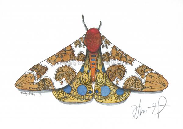 Garden Tiger Moth Print, Watercolor and Pen and Ink, by Haylee McFarland