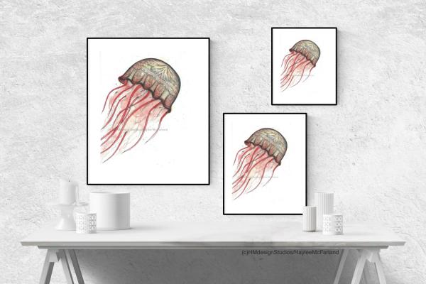 Red Jellyfish Print, Watercolor and Pen and Ink, by Haylee McFarland picture