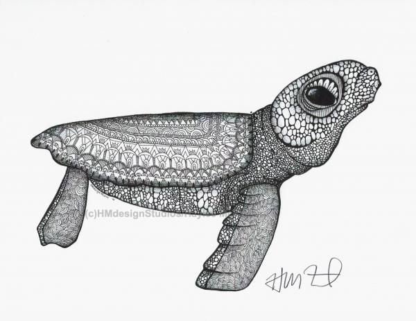 Black and White Baby Sea Turtle Print, Watercolor and Pen and Ink, by Haylee McFarland