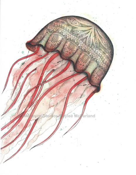 Red Jellyfish Print, Watercolor and Pen and Ink, by Haylee McFarland