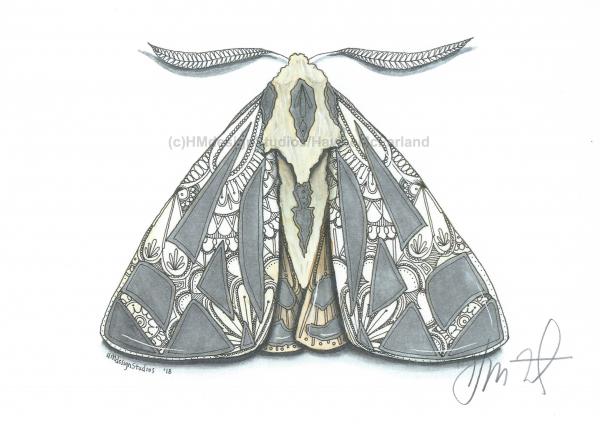 Tiger Moth Print, Watercolor and Pen and Ink, by Haylee McFarland