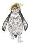 Penguin, LIMITED EDITION PRINT, Watercolor and Pen and Ink, by Haylee McFarland