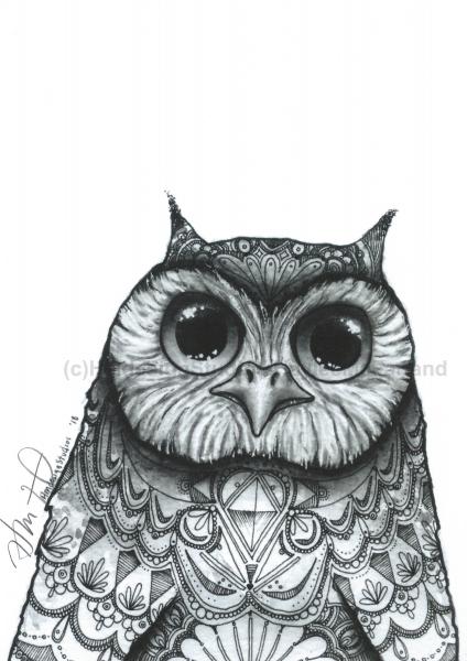 Big Eyed Owl Print, Watercolor and Pen and Ink, by Haylee McFarland