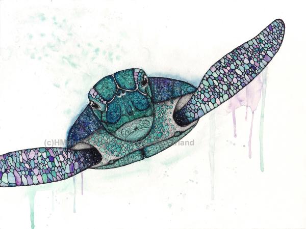 Cosmic Sea Turtle, LIMITED EDITION PRINT, Watercolor and Pen and Ink, by Haylee McFarland