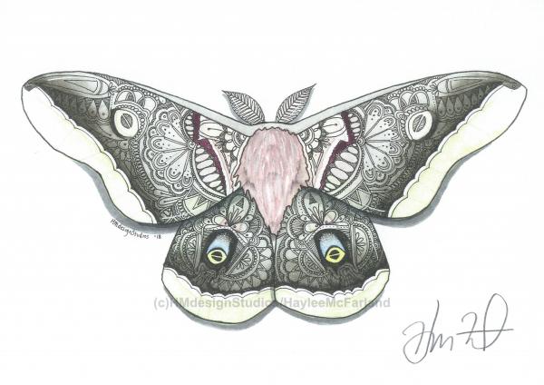 Polyphemus Moth Print, Watercolor and Pen and Ink, by Haylee McFarland picture