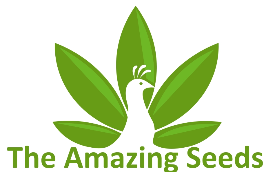 The Amazing Seeds