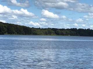 Notecards of Lake Pithlachocco (Newnan's Lake) picture