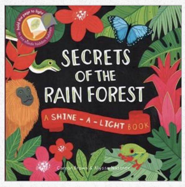Shine a Light Secrets of the Rainforest