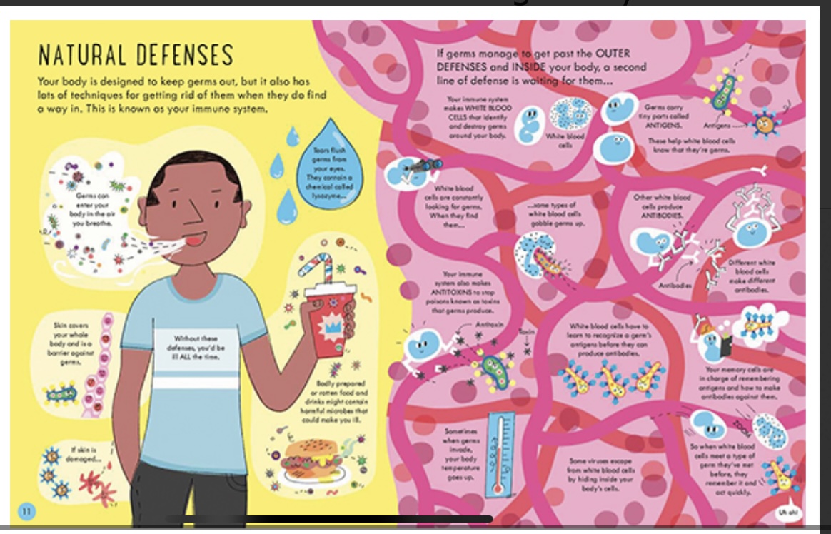 See Inside Germs picture