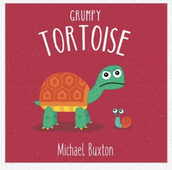 Grumpy Tortoise