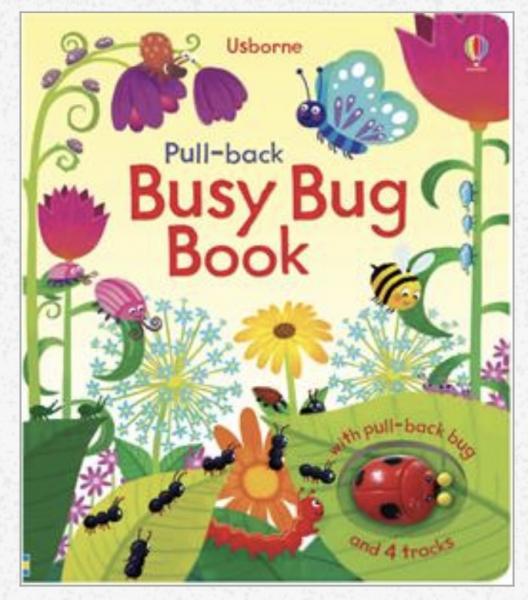 Pull Back Busy Bug Book picture