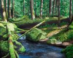 Moss on Olallie Creek Rocks