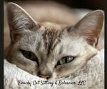 Finicky Cat Sitting & Behavior, LLC
