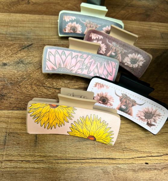 Hair bows and hair clips