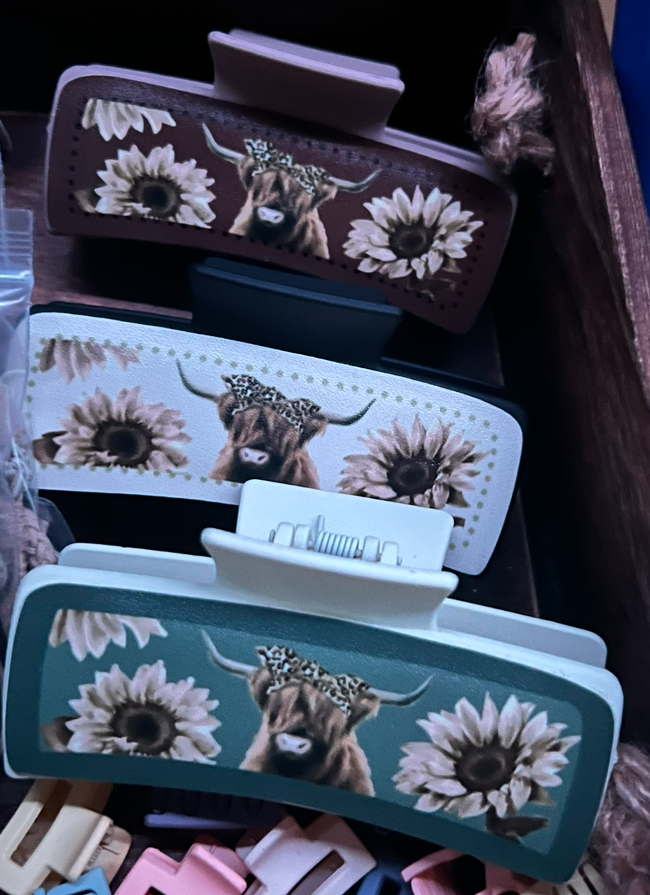 Hair bows and hair clips picture