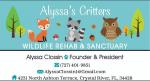Alyssa's Critters Wildlife Rescue