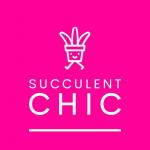 Succulent Chic