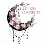 Lunar Orchid