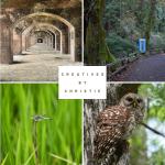 Creatives by Christie