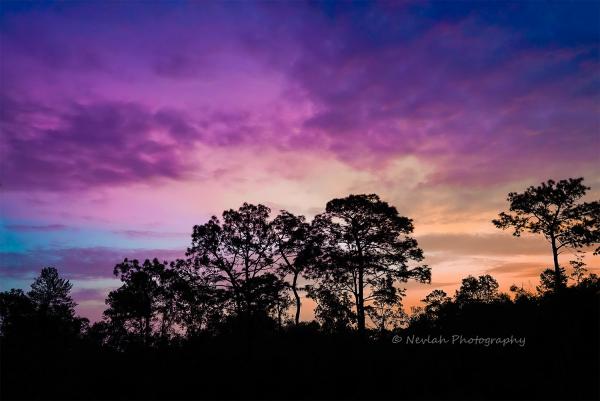 Morning Sky picture